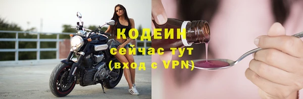 стафф Каменка