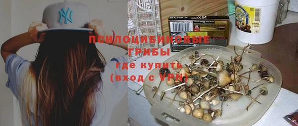 каннабис Каменногорск